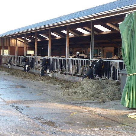 Boerderij "De Verwondering" Goudriaan Εξωτερικό φωτογραφία