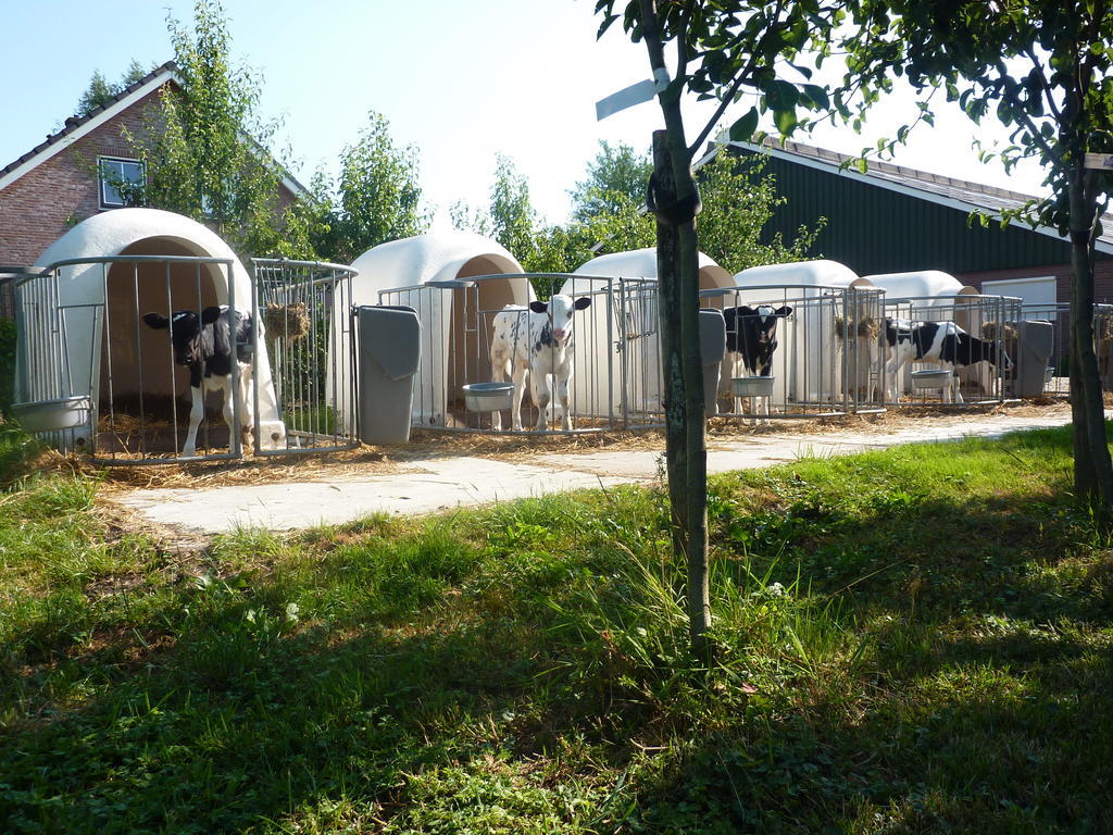 Boerderij "De Verwondering" Goudriaan Εξωτερικό φωτογραφία